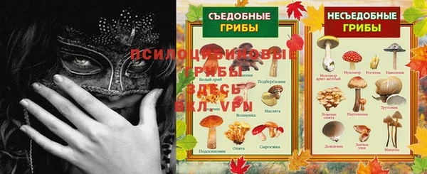прущий лед Липки