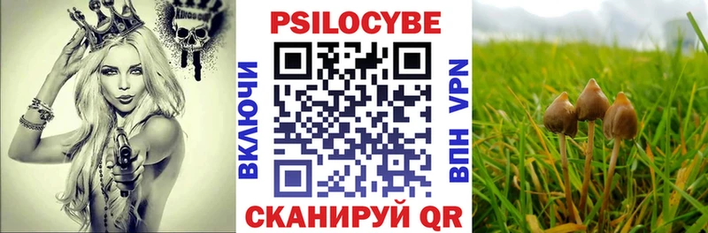 Галлюциногенные грибы ЛСД  кракен онион  Иланский 